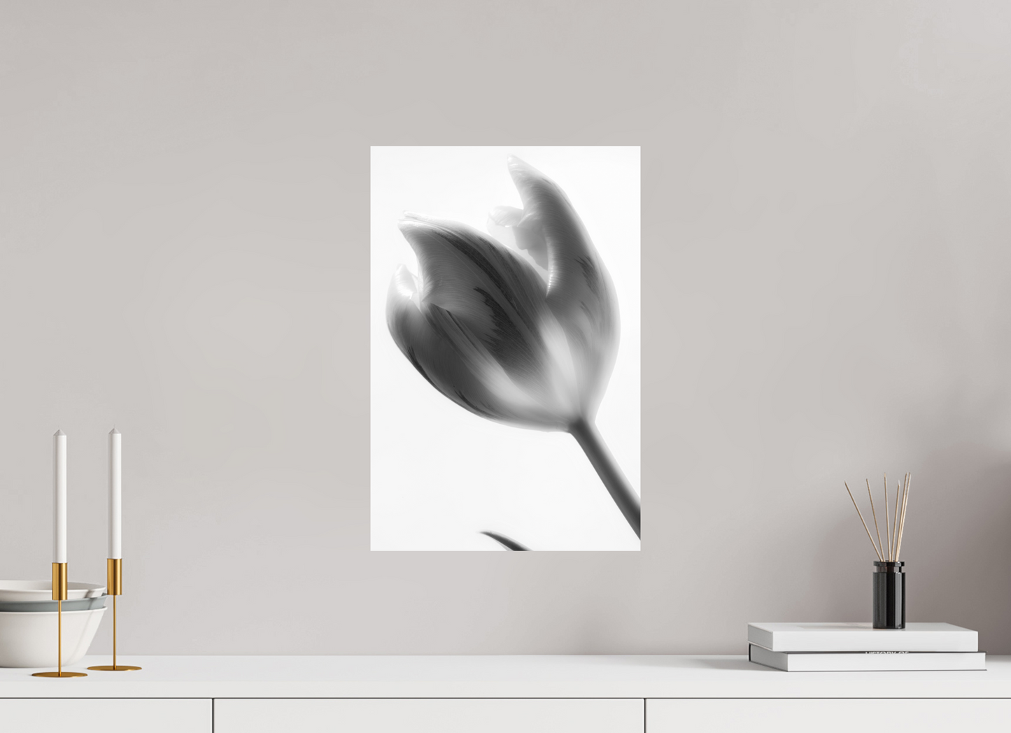 30 x 45 cm, Fine Art Print Baryta auf Alu-Dibond Tulpe-05
