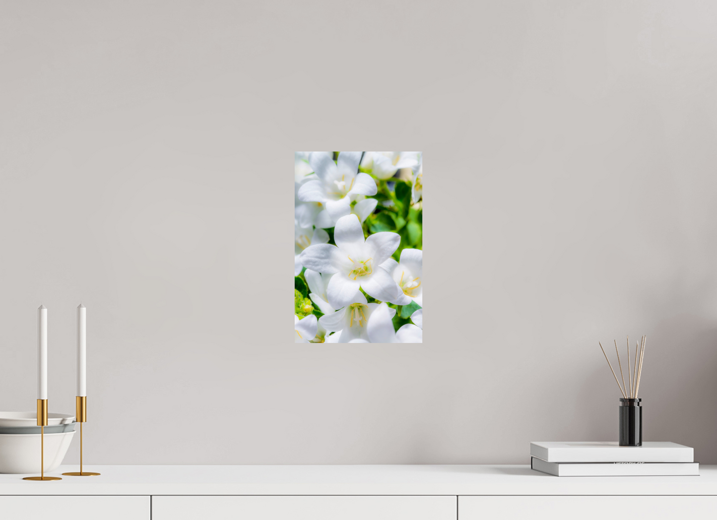 20 x 30 cm, Fine Art Print Baryta auf Alu-Dibond Glockenblume_03