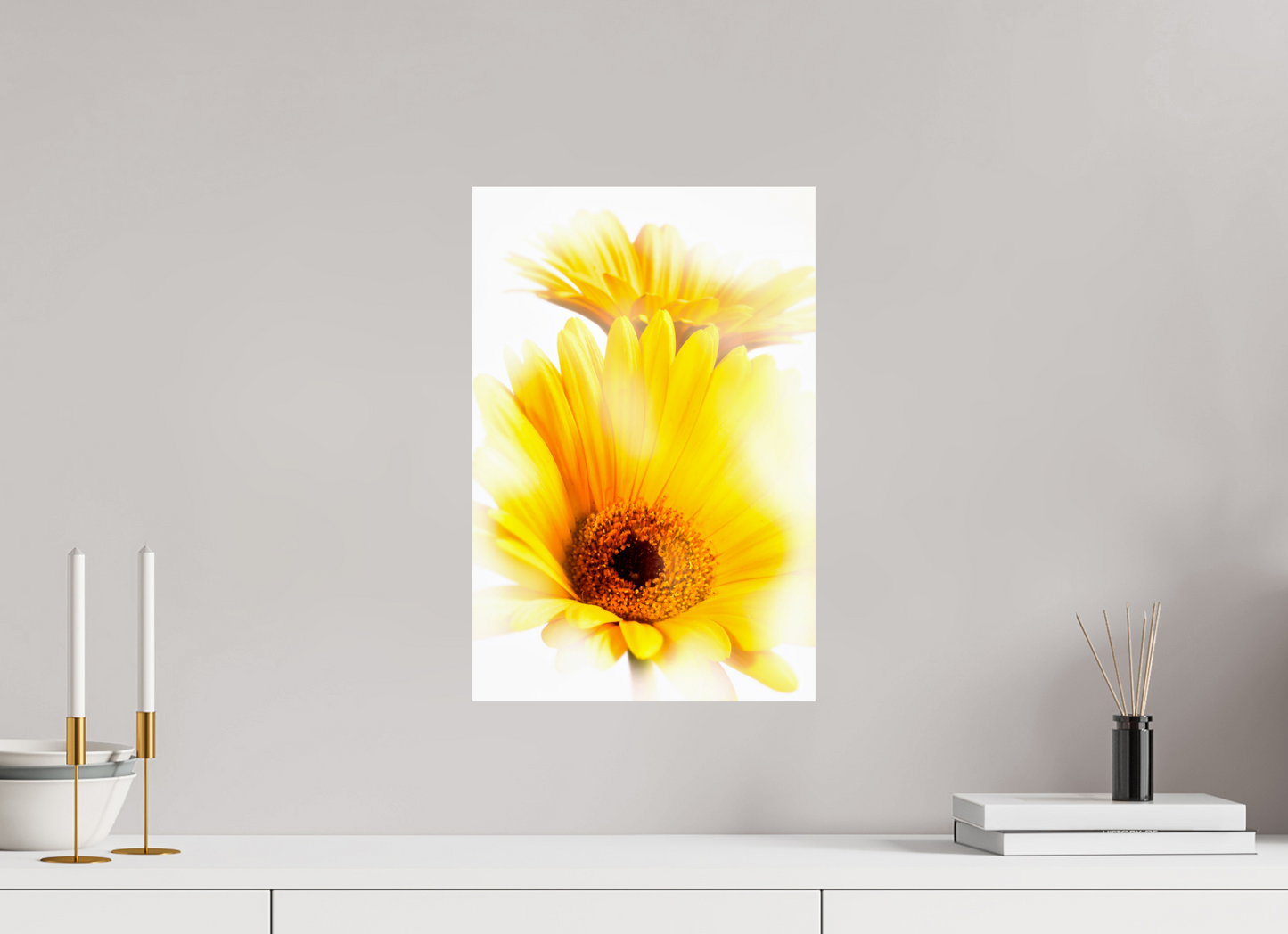 30 x 45 cm, ChromaLuxe HD Metal Print Gerbera_11