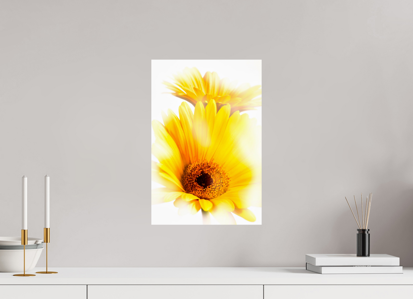30 x 45 cm, Fine Art Print Baryta auf Alu-Dibond Gerbera_11