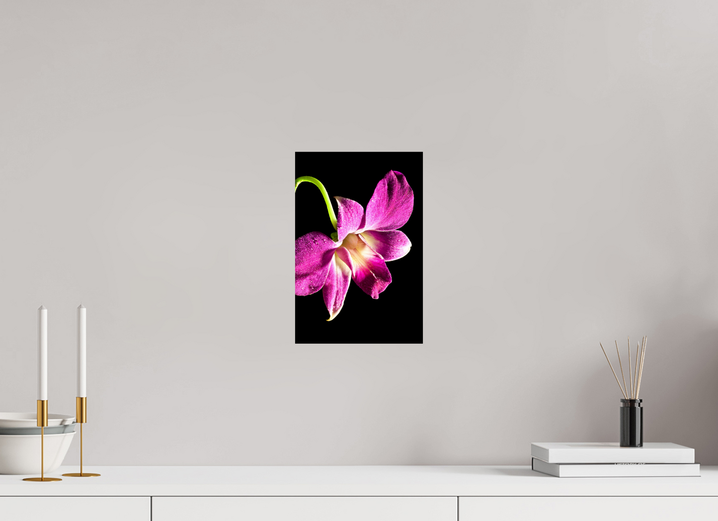 20 x 30 cm, Fine Art Print Baryta auf Alu-Dibond Phalaenopsis-2