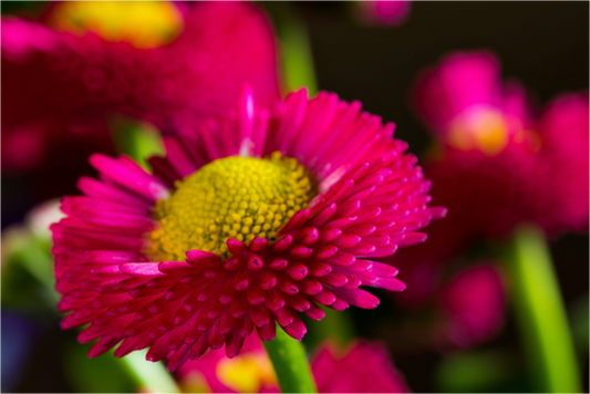 Main image ASTER-01