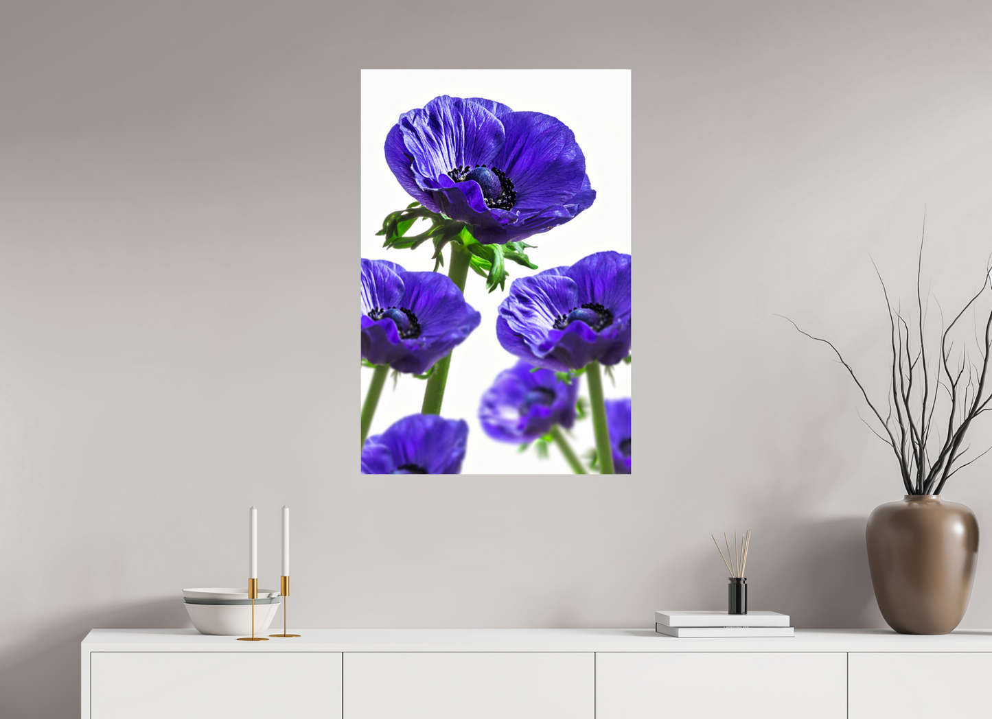60 x 90 cm, Fine Art Print Baryta auf Alu-Dibond Kronenanemone_06