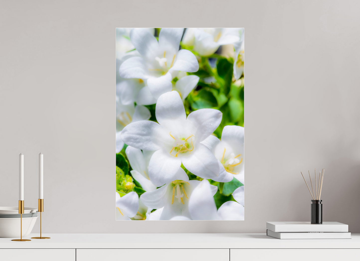 40 x 60 cm, Glänzender Foto-Abzug Acrylglas Glockenblume_03