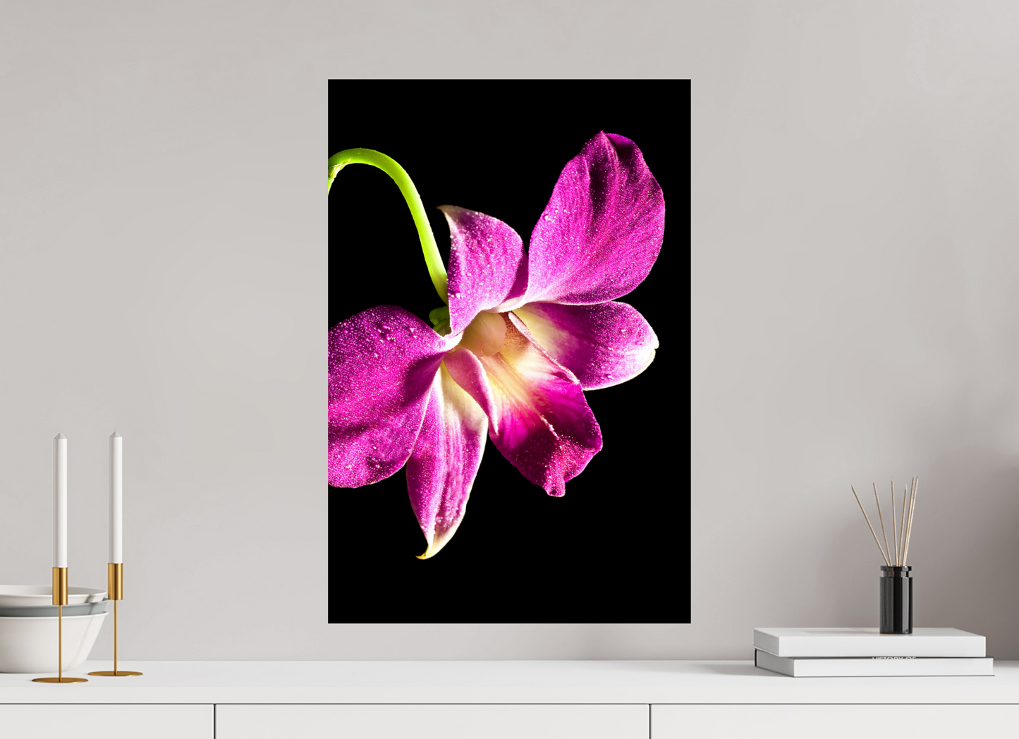 40 x 60 cm, Fine Art Print Baryta auf Alu-Dibond Phalaenopsis-2
