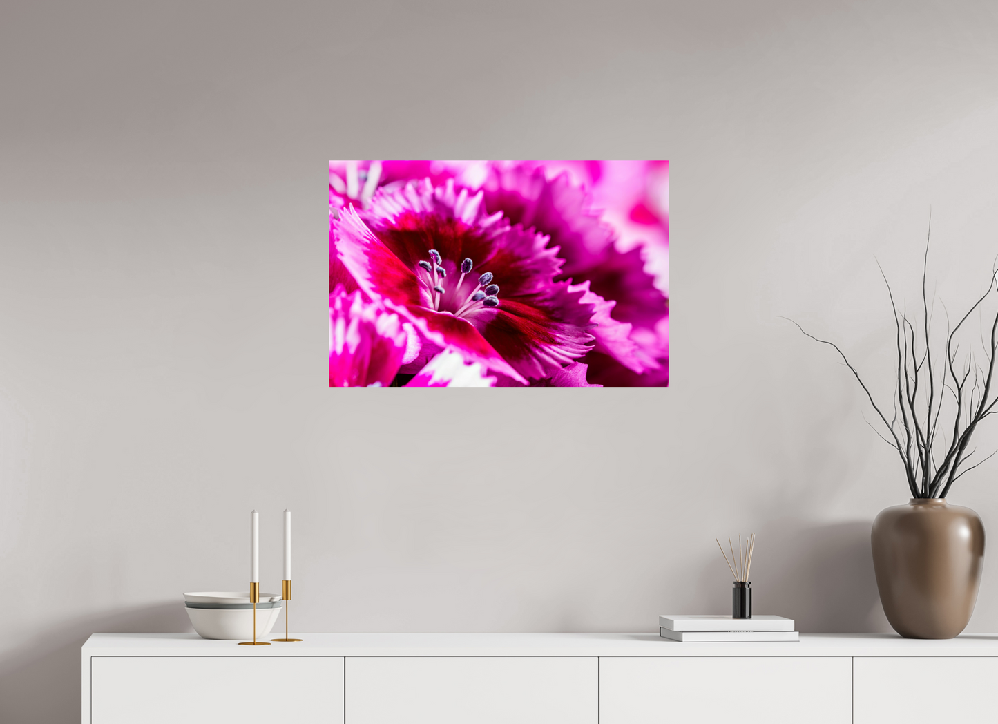 75 x 50 cm, Fine Art Print Baryta auf Alu-Dibond Bartnelke_04