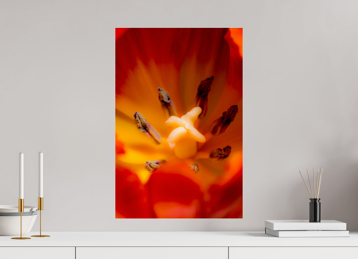 40 x 60 cm, Glänzender Foto-Abzug Acrylglas Tulpe-03