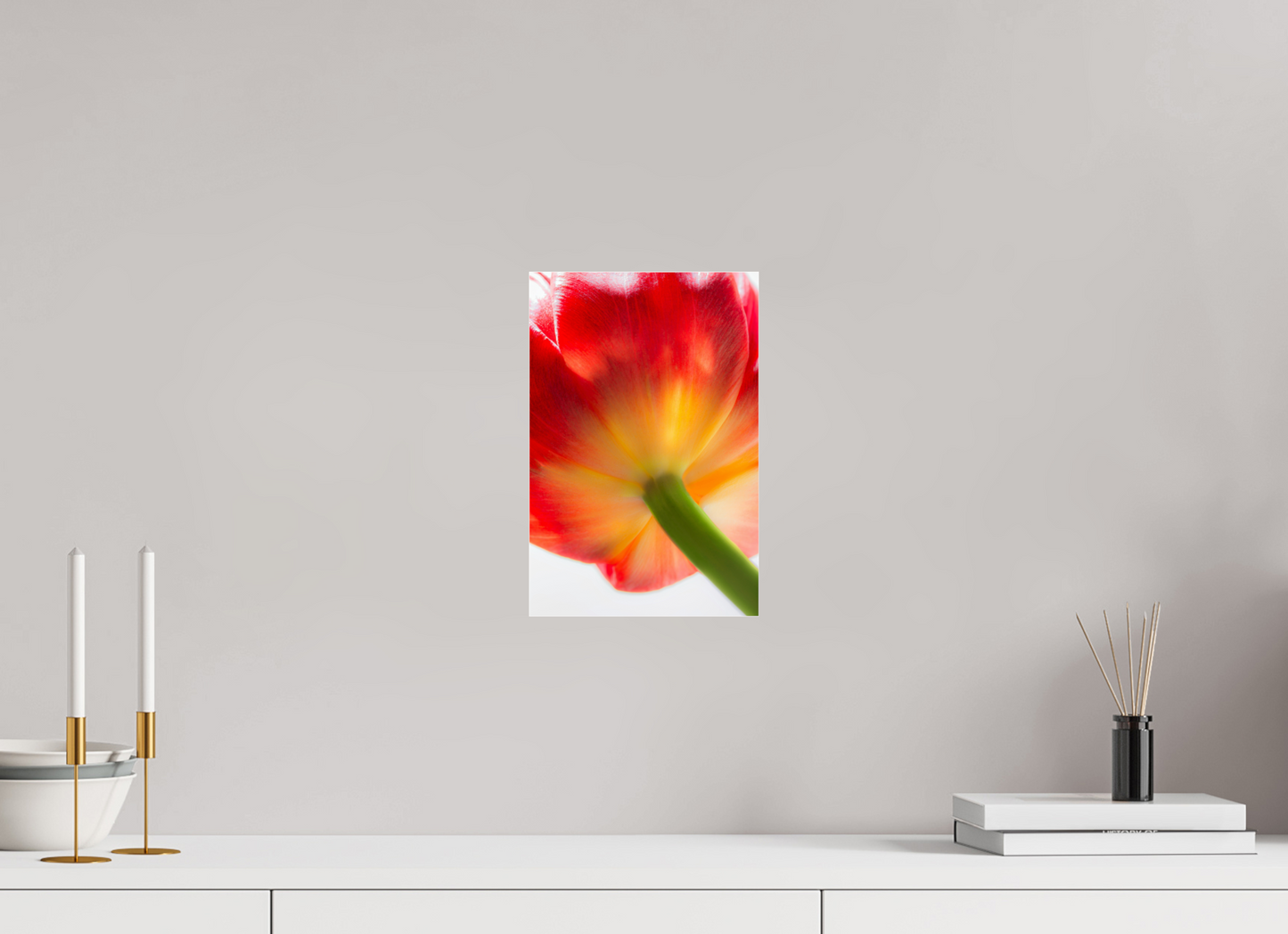 20 x 30 cm, Glänzender Foto-Abzug Acrylglas Tulpe-08