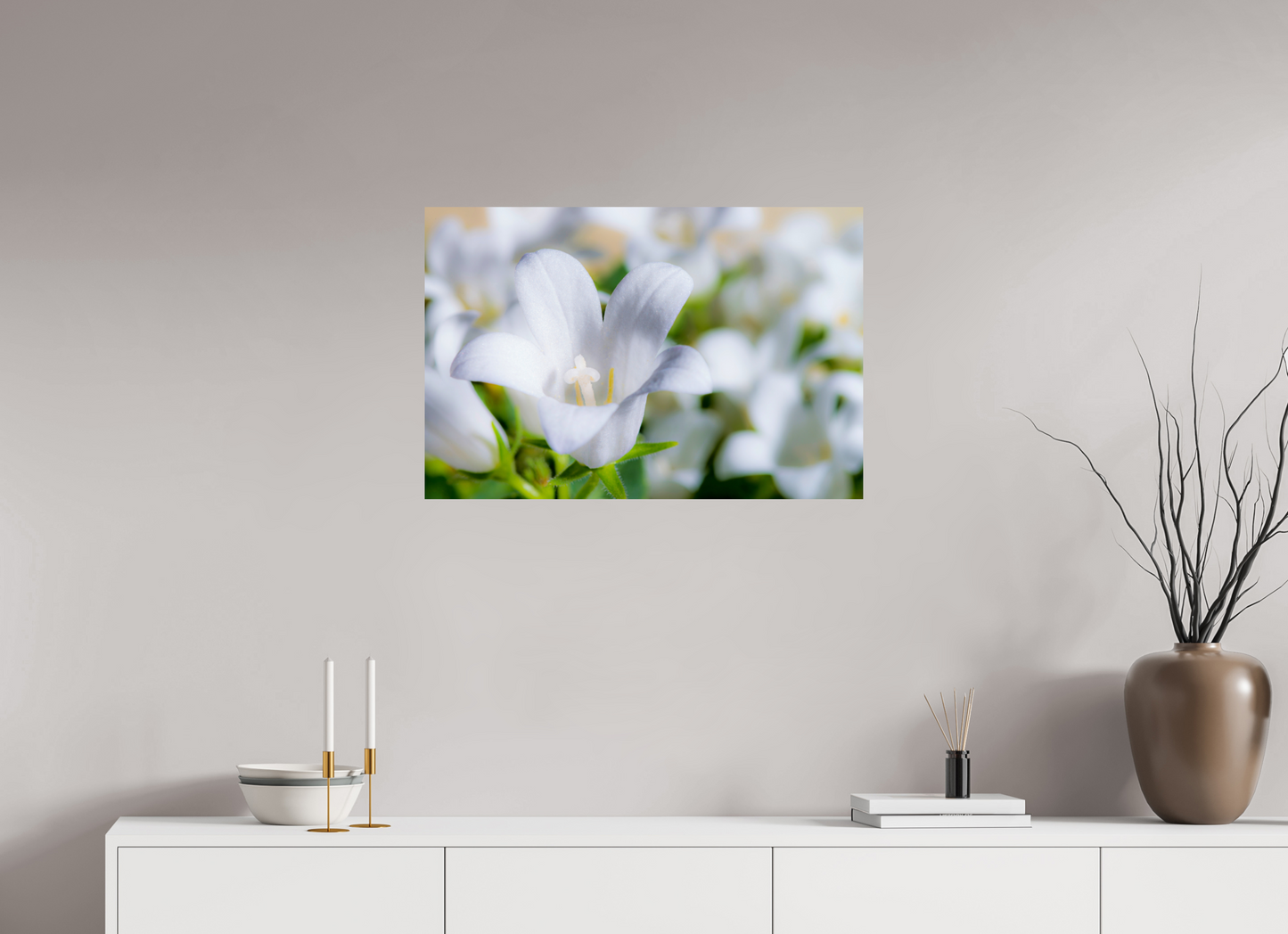 75 x 50 cm, Fine Art Print Baryta auf Alu-Dibond Glockenblume_02