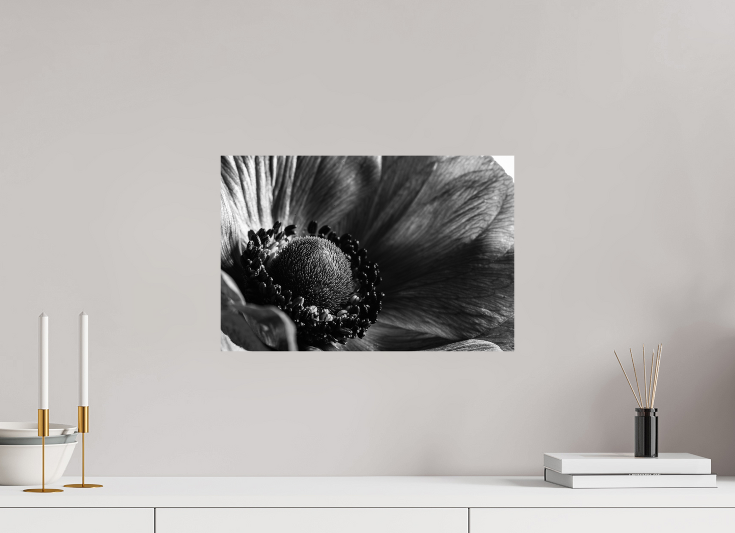 45 x 30 cm, ChromaLuxe HD Metal Print Kronenanemone_03