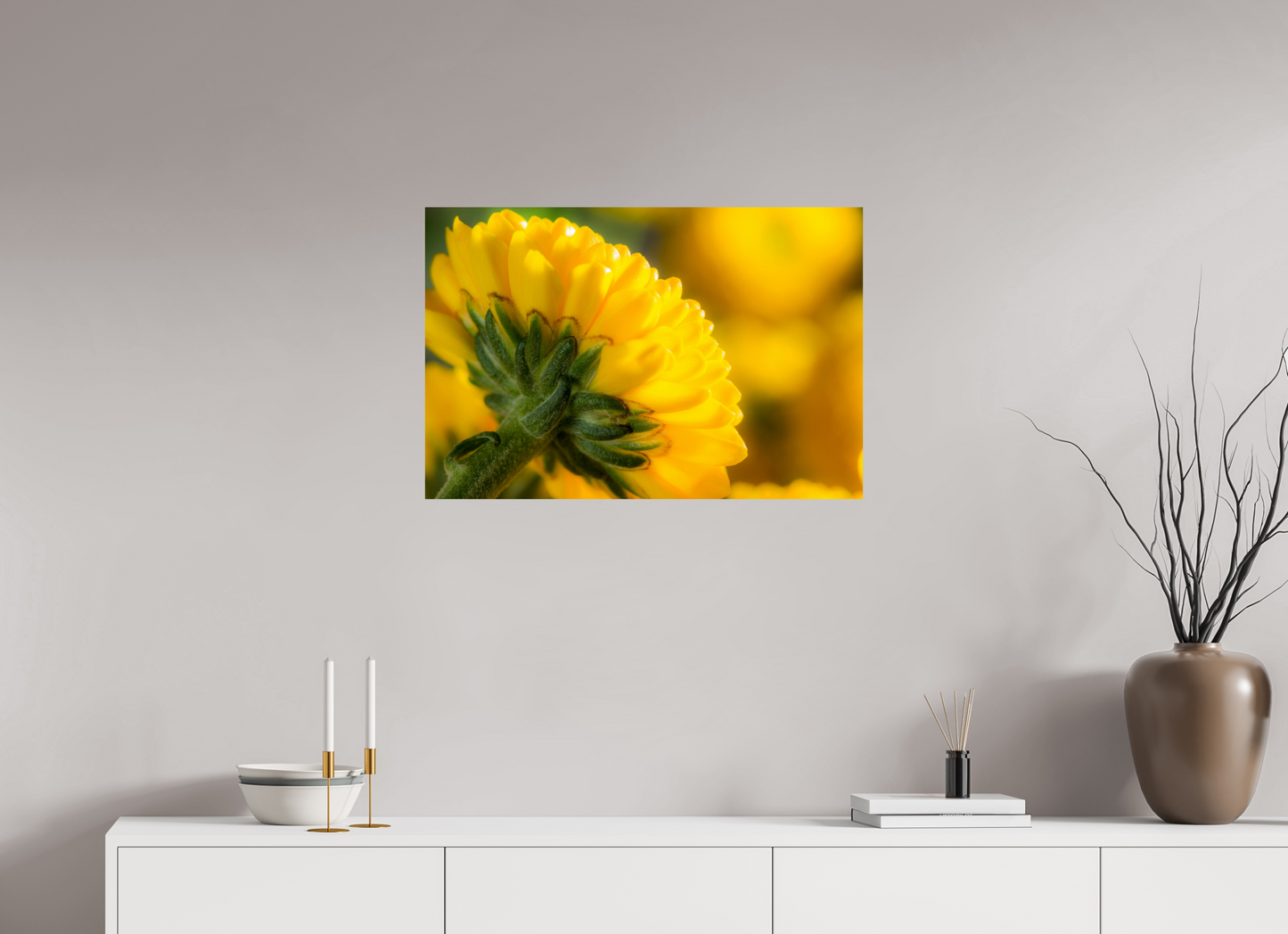 75 x 50 cm, ChromaLuxe HD Metal Print Chrysanthemen-05