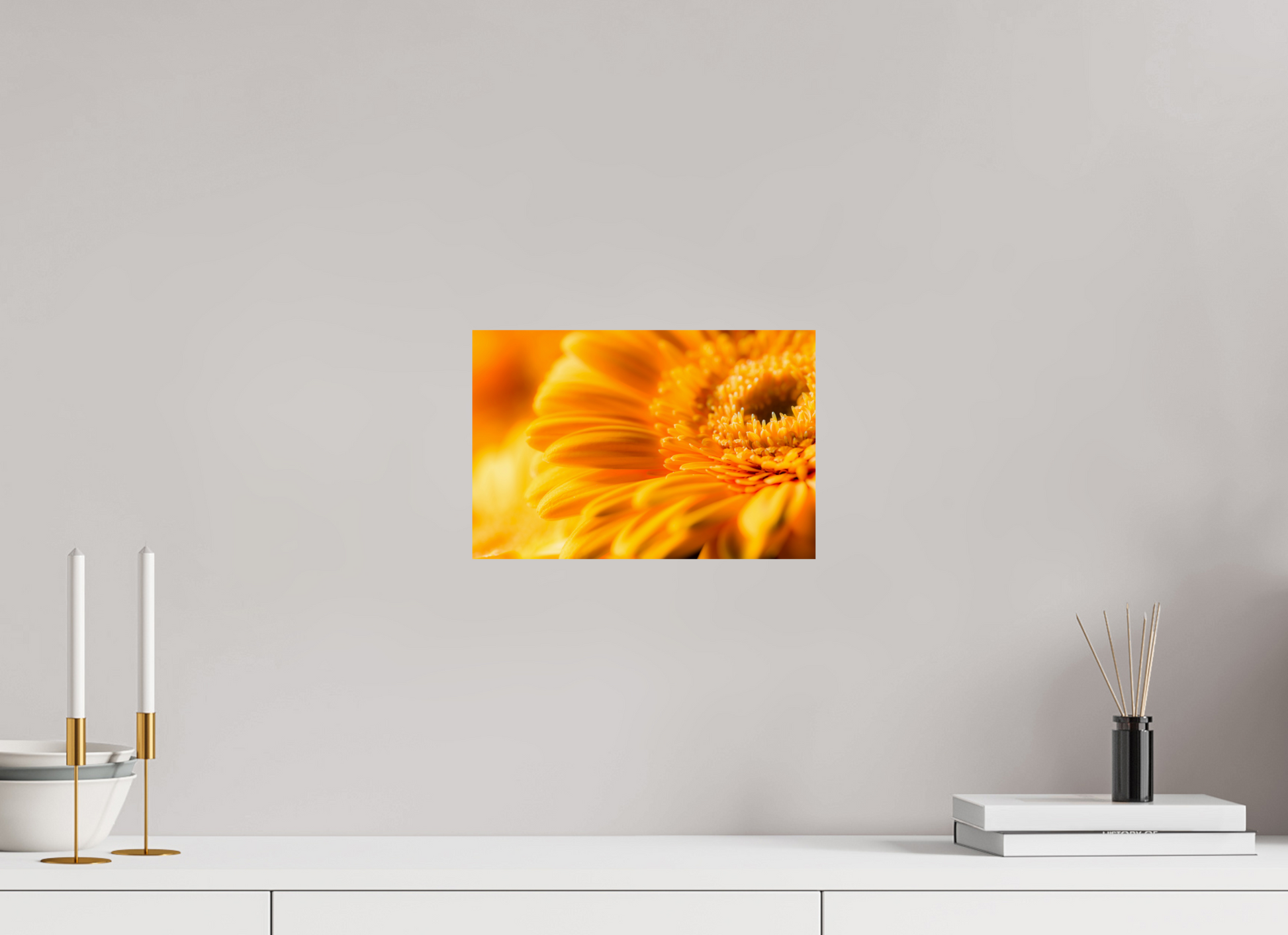 30 x 20 cm, ChromaLuxe HD Metal Print Gerbera_09