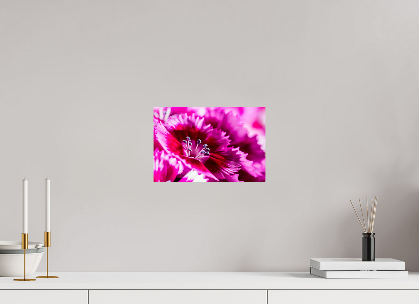 30 x 20 cm, Fine Art Print Baryta auf Alu-Dibond Bartnelke_04