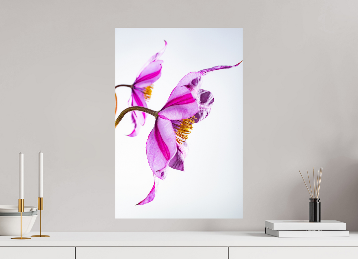 40 x 60 cm, Fine Art Print Baryta auf Alu-Dibond Clematis-06