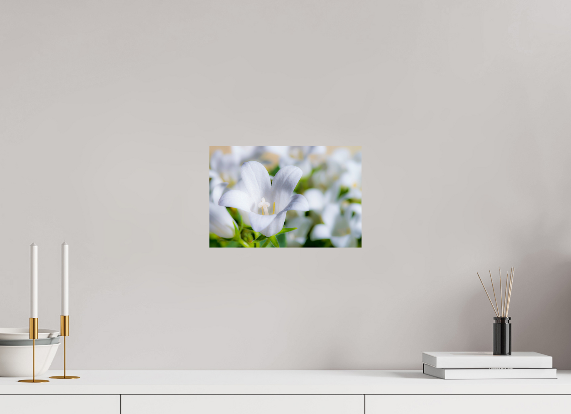 30 x 20 cm, ChromaLuxe HD Metal Print Glockenblume_02