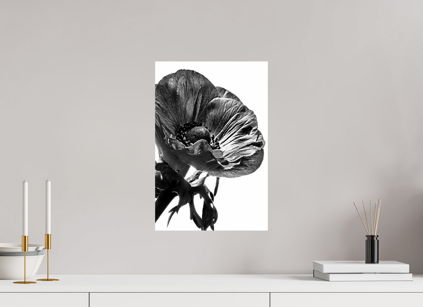 30 x 45 cm, ChromaLuxe HD Metal Print Kronenanemone_01
