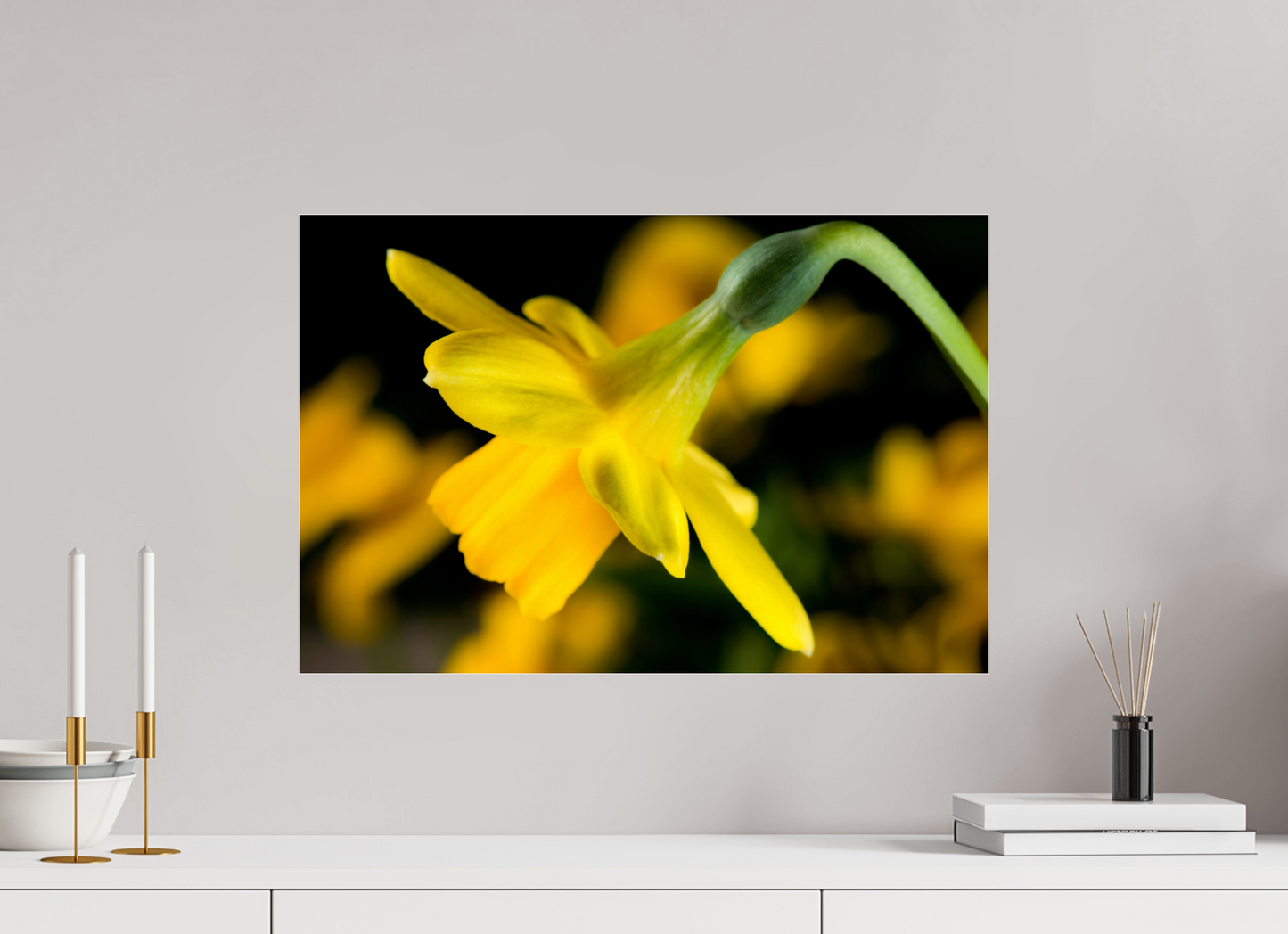 60 x 40 cm, Glänzender Foto-Abzug Acrylglas Narzisse_03