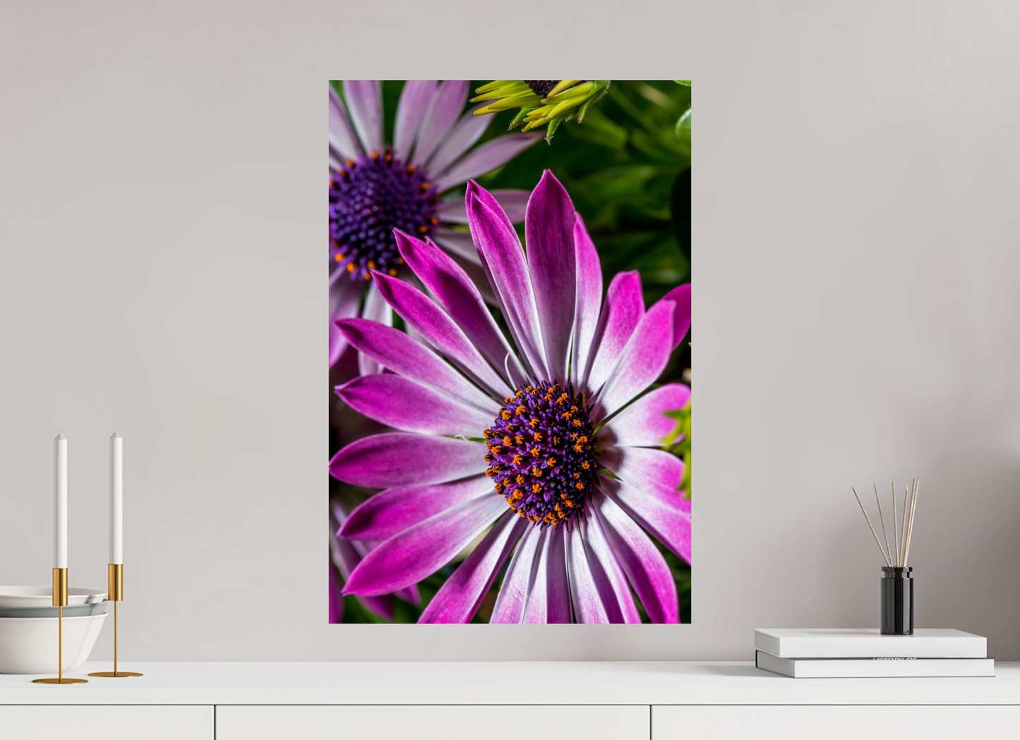 40 x 60 cm, ChromaLuxe HD Metal Print Kapmargerite_01