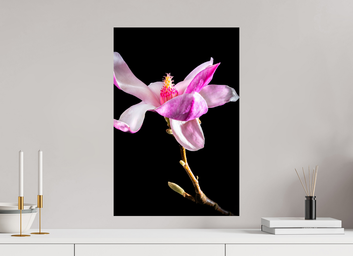 40 x 60 cm, Fine Art Print Baryta auf Alu-Dibond Magnolie_02