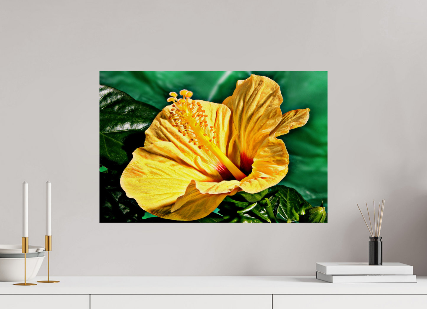 60 x 40 cm, Fine Art Print Baryta auf Alu-Dibond Hibiscus-02