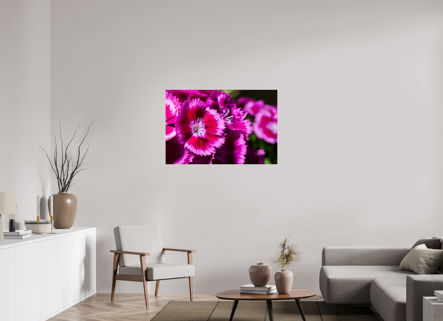 105 x 70 cm, Fine Art Print Baryta auf Alu-Dibond Bartnelke_01