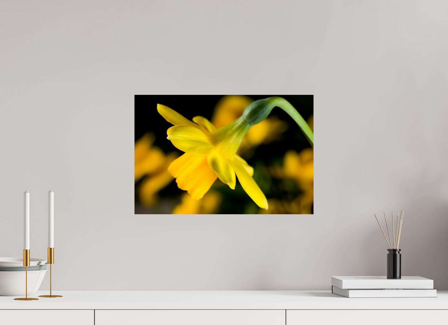 45 x 30 cm, ChromaLuxe HD Metal Print Narzisse_02
