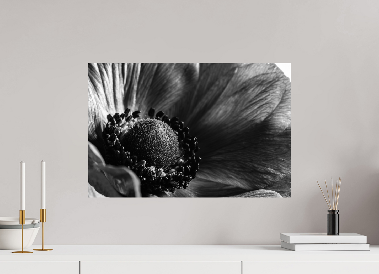60 x 40 cm, Fine Art Print Baryta auf Alu-Dibond Kronenanemone_03