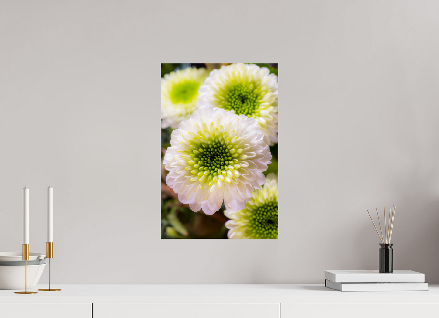 30 x 45 cm, Glänzender Foto-Abzug Acrylglas Chrysanthemen-01