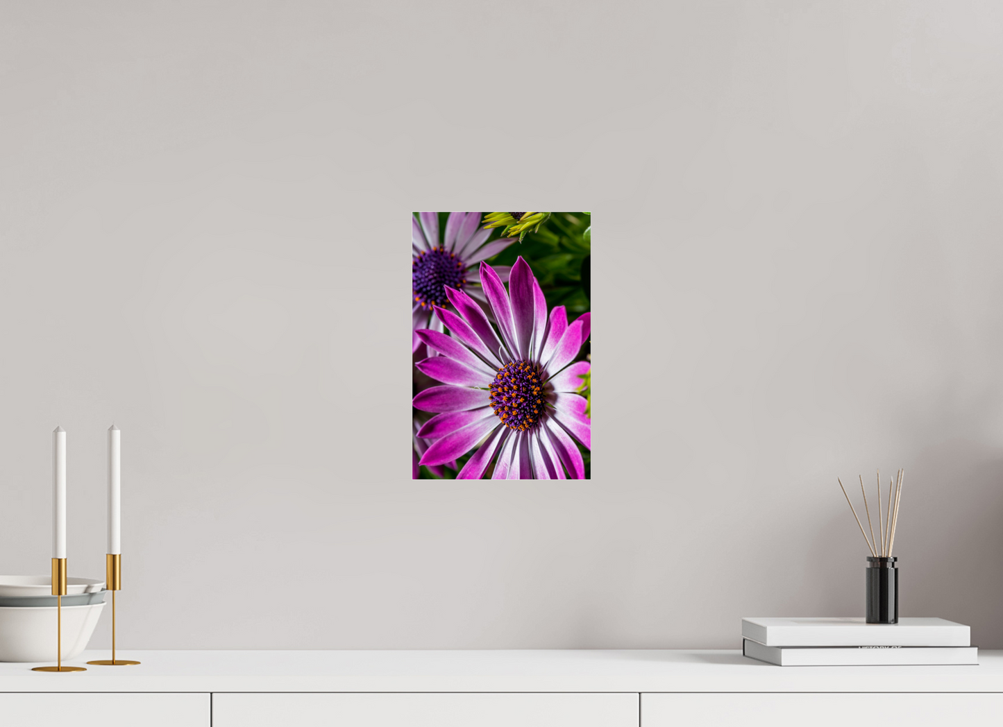 20 x 30 cm, Glänzender Foto-Abzug Acrylglas Kapmargerite_01