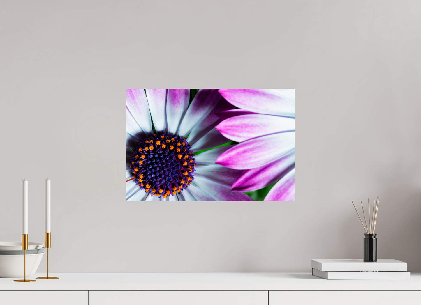 45 x 30 cm, Fine Art Print Baryta auf Alu-Dibond Kapmargerite_06