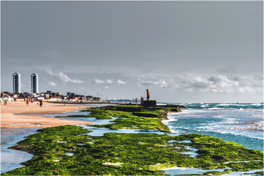 Main image Praia do Pina - Recife - PE