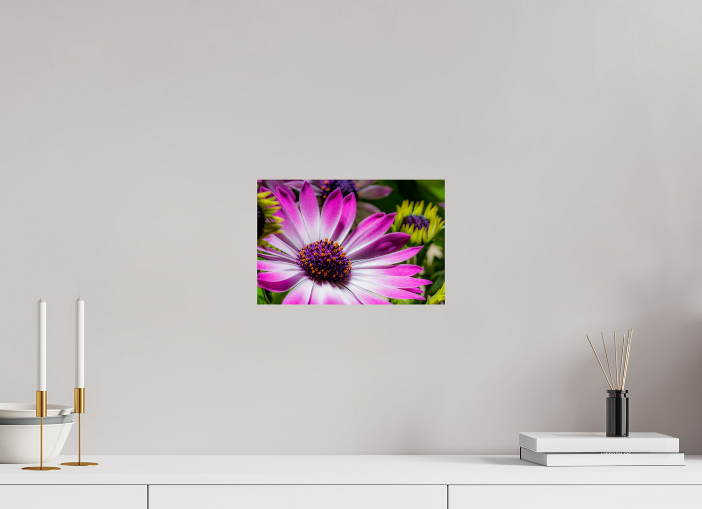 30 x 20 cm, Fine Art Print Baryta auf Alu-Dibond Kapmargerite_03