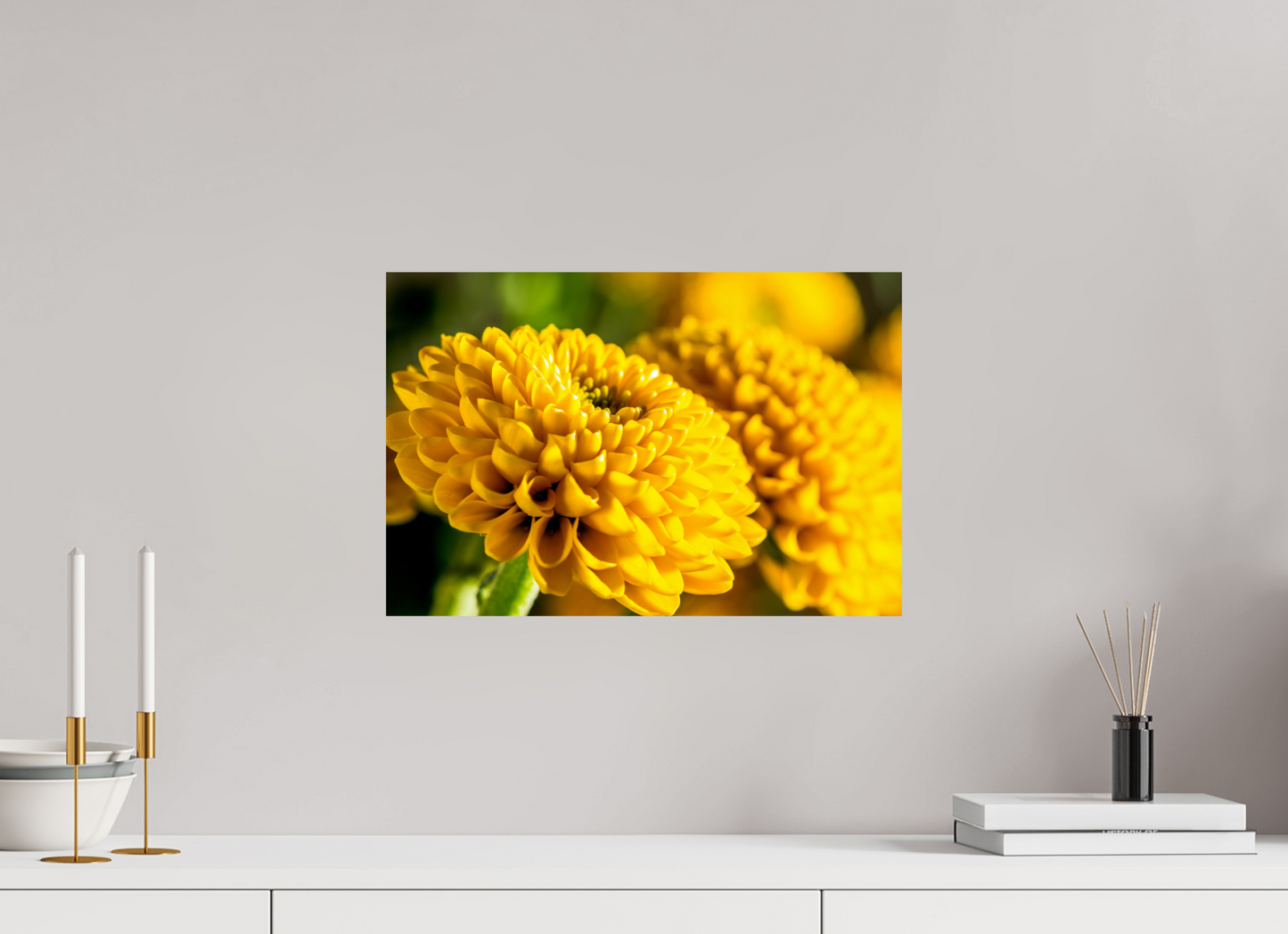 45 x 30 cm, Fine Art Print Baryta auf Alu-Dibond Chrysanthemen-04