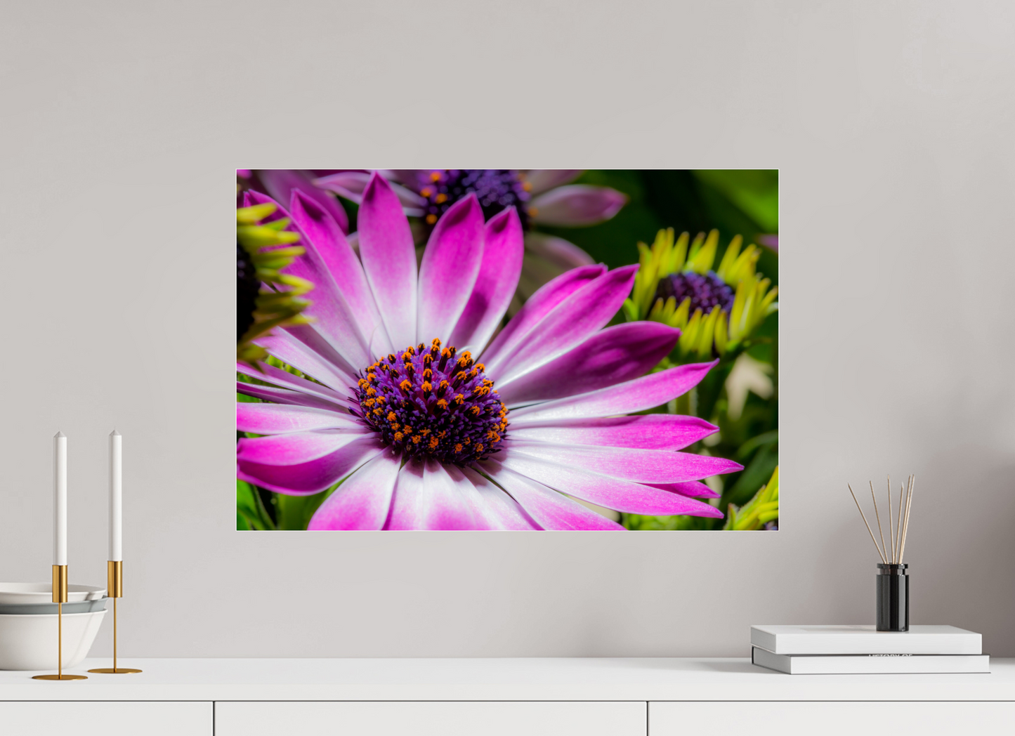 60 x 40 cm, Glänzender Foto-Abzug Acrylglas Kapmargerite_03