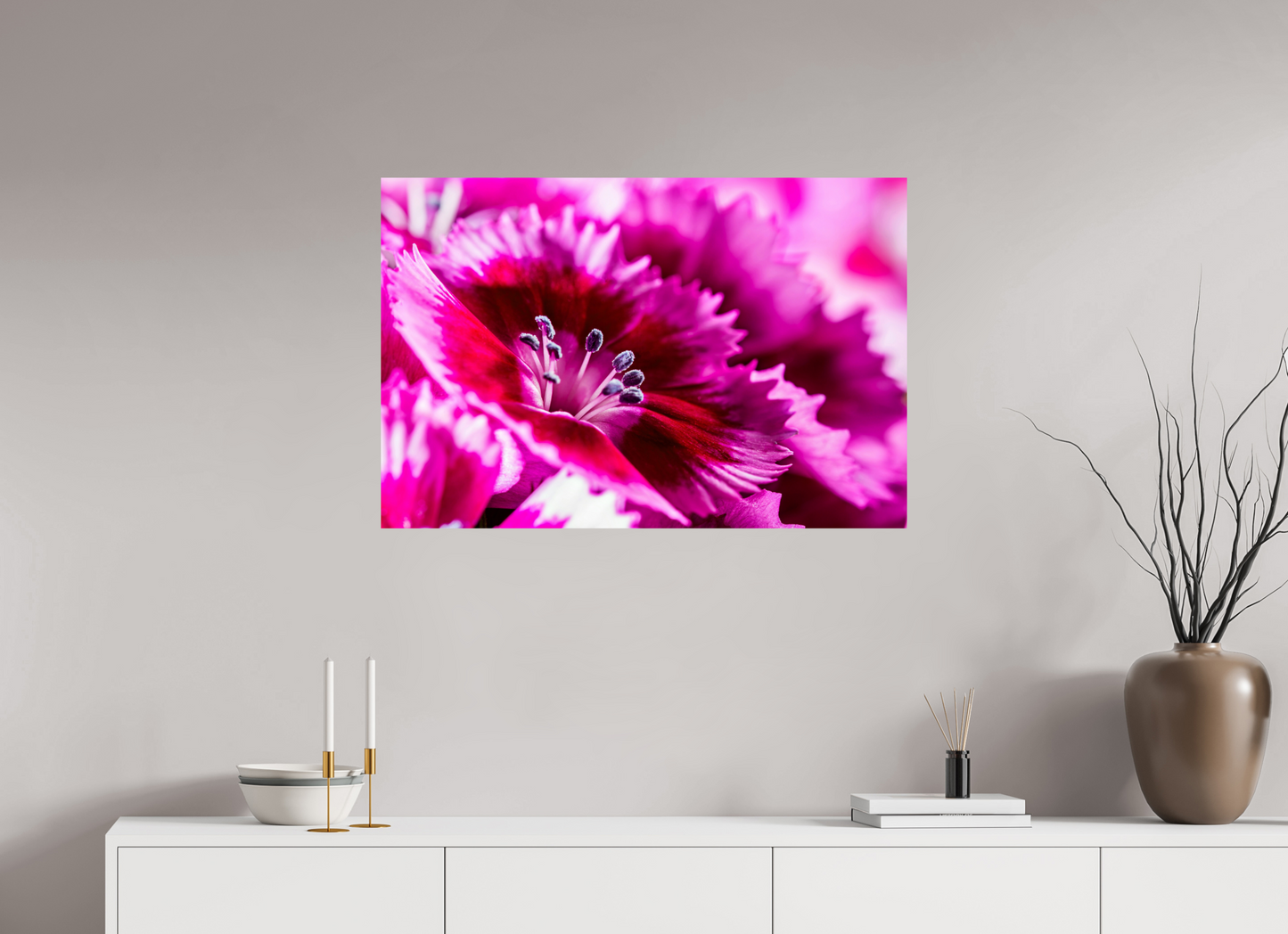 90 x 60 cm, Fine Art Print Baryta auf Alu-Dibond Bartnelke_04