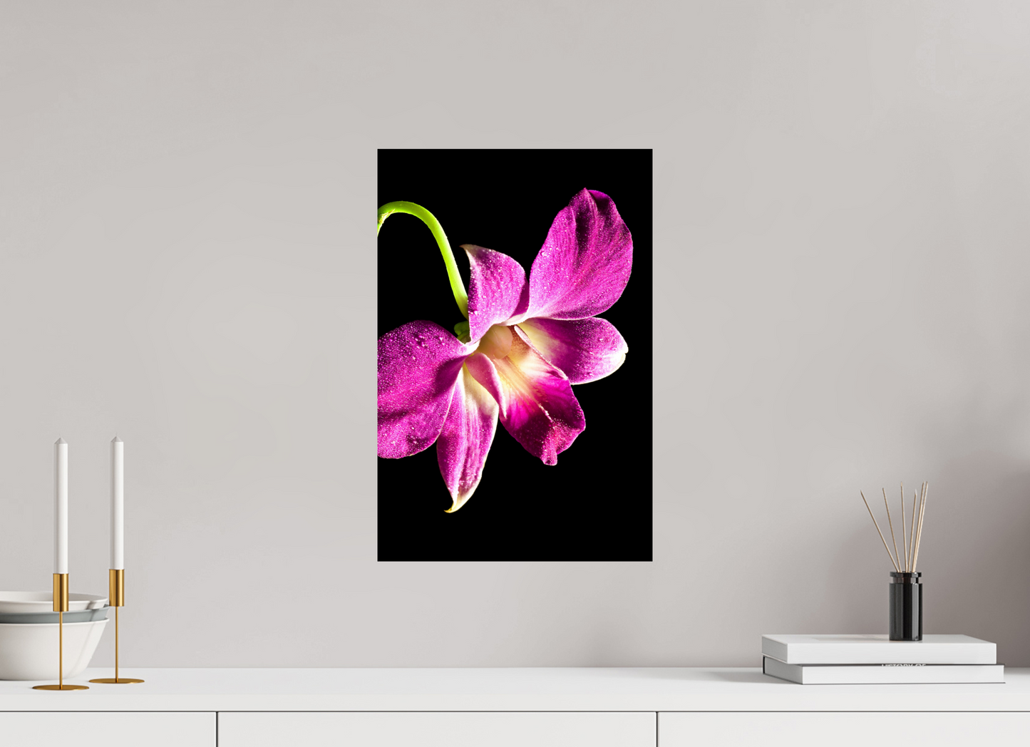 30 x 45 cm, Fine Art Print Baryta auf Alu-Dibond Phalaenopsis-2