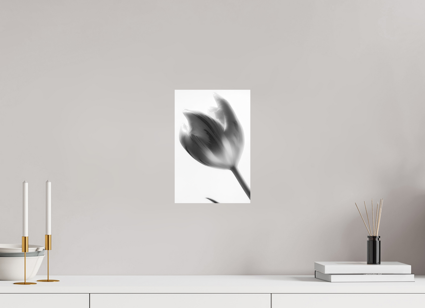 20 x 30 cm, Fine Art Print Baryta auf Alu-Dibond Tulpe-05