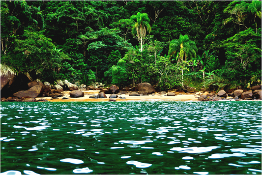 Main image Costa de Ubatuba - Ubatuba - SP