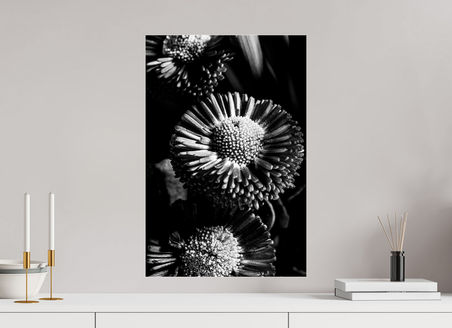 40 x 60 cm, Glänzender Foto-Abzug Acrylglas Aster-02