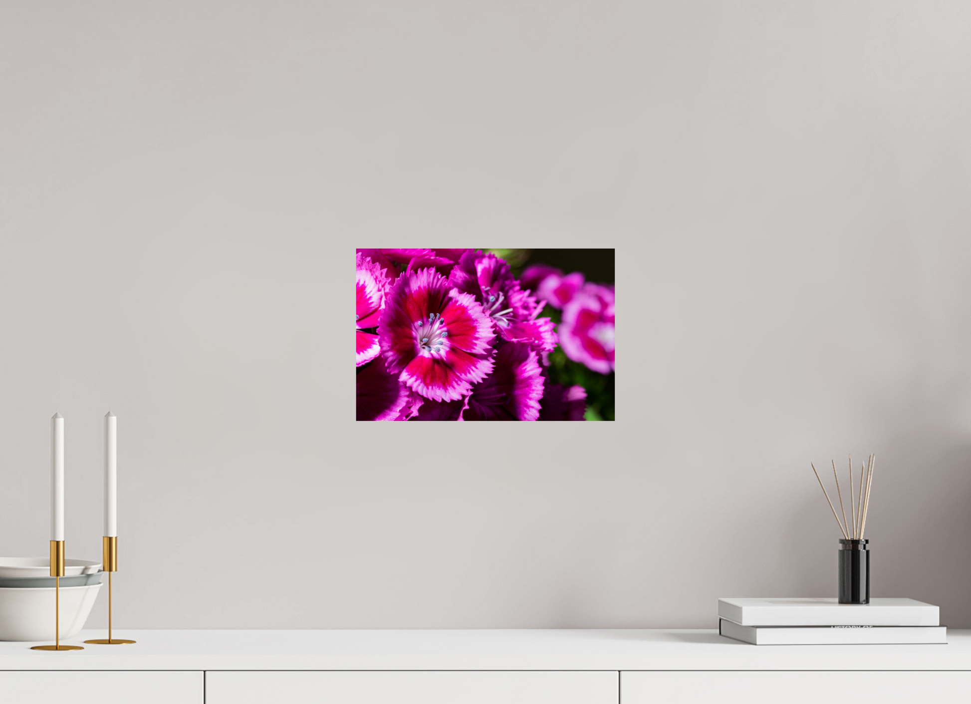 30 x 20 cm, ChromaLuxe HD Metal Print Bartnelke_01