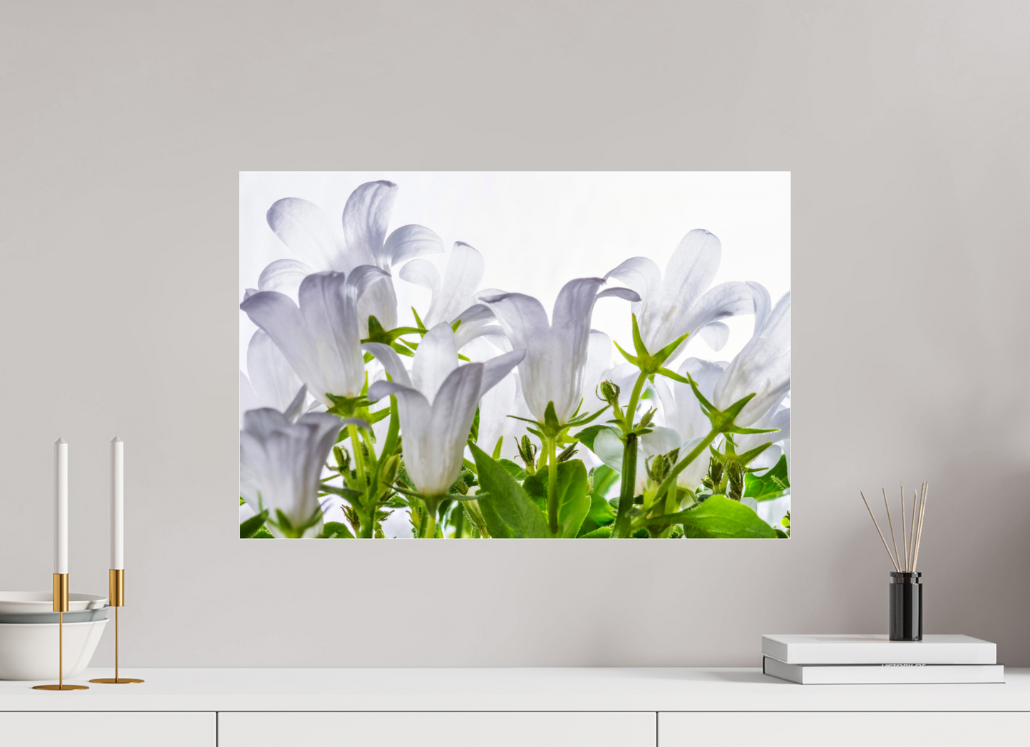 60 x 40 cm, Glänzender Foto-Abzug Acrylglas Glockenblume_01