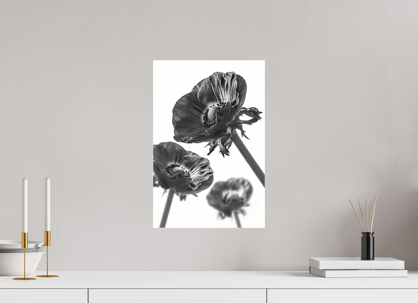 30 x 45 cm, Glänzender Foto-Abzug Acrylglas Kronenanemone_08
