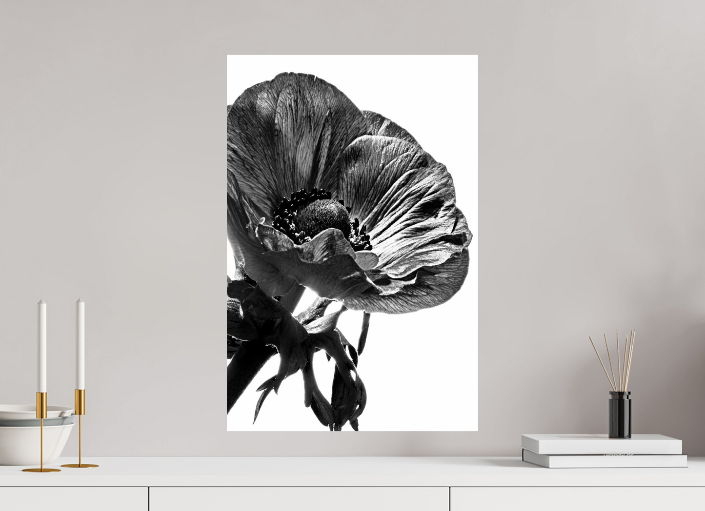 40 x 60 cm, Fine Art Print Baryta auf Alu-Dibond Kronenanemone_01