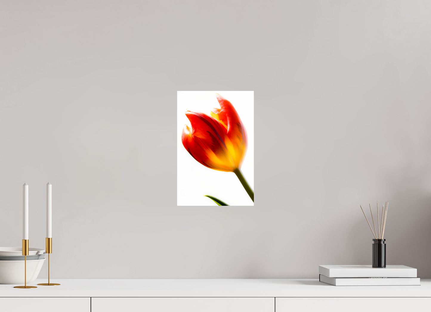 20 x 30 cm, Fine Art Print Baryta auf Alu-Dibond Tulpe-04