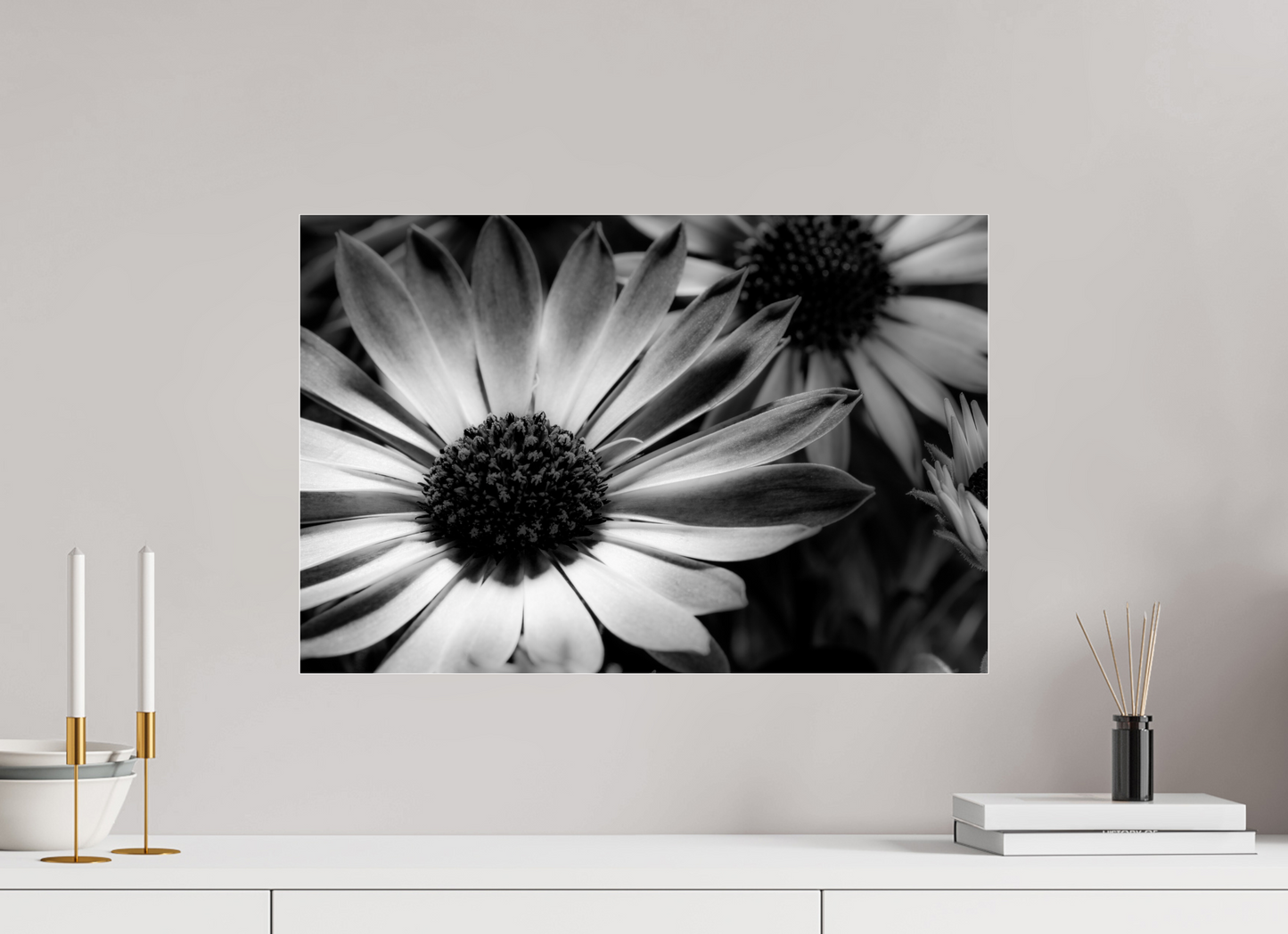 60 x 40 cm, Glänzender Foto-Abzug Acrylglas Kapmargerite_02