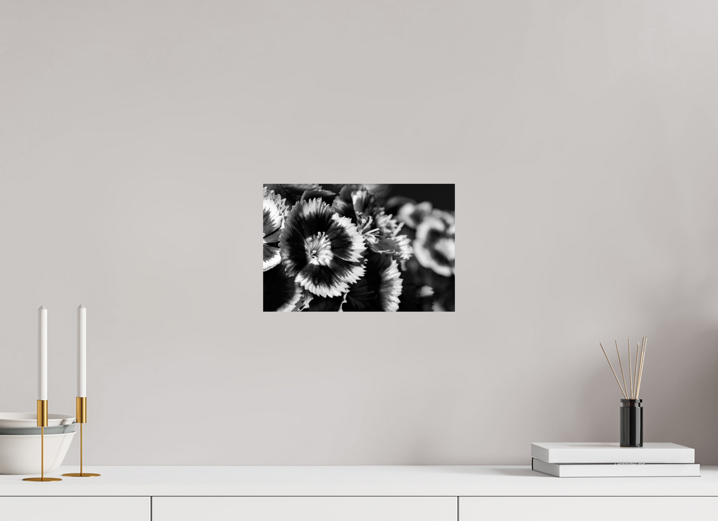 30 x 20 cm, Fine Art Print Baryta auf Alu-Dibond Bartnelke_02
