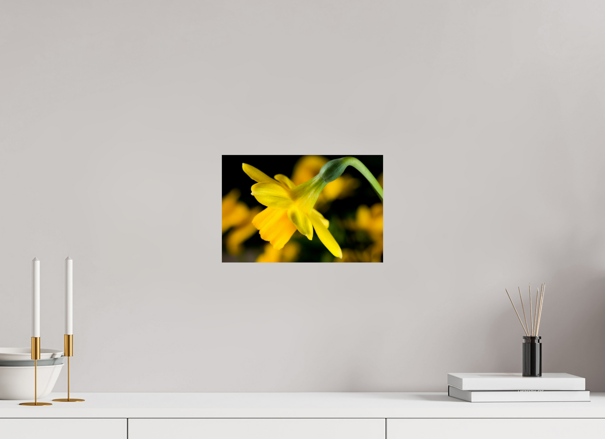 30 x 20 cm, ChromaLuxe HD Metal Print Narzisse_03