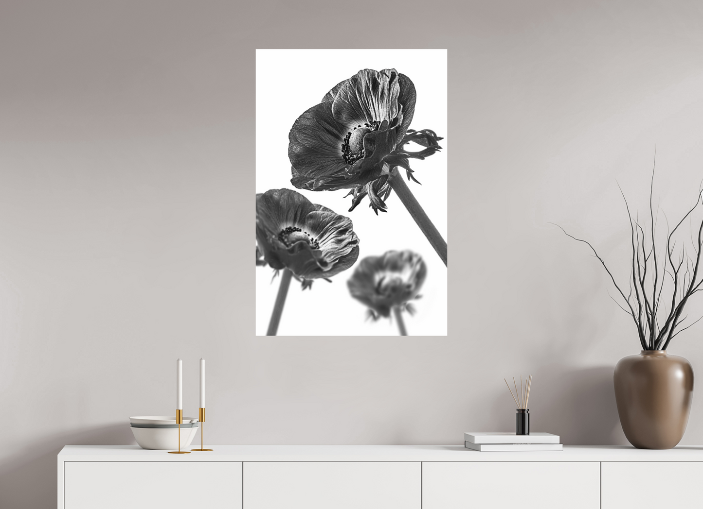 60 x 90 cm, Fine Art Print Baryta auf Alu-Dibond Kronenanemone_08
