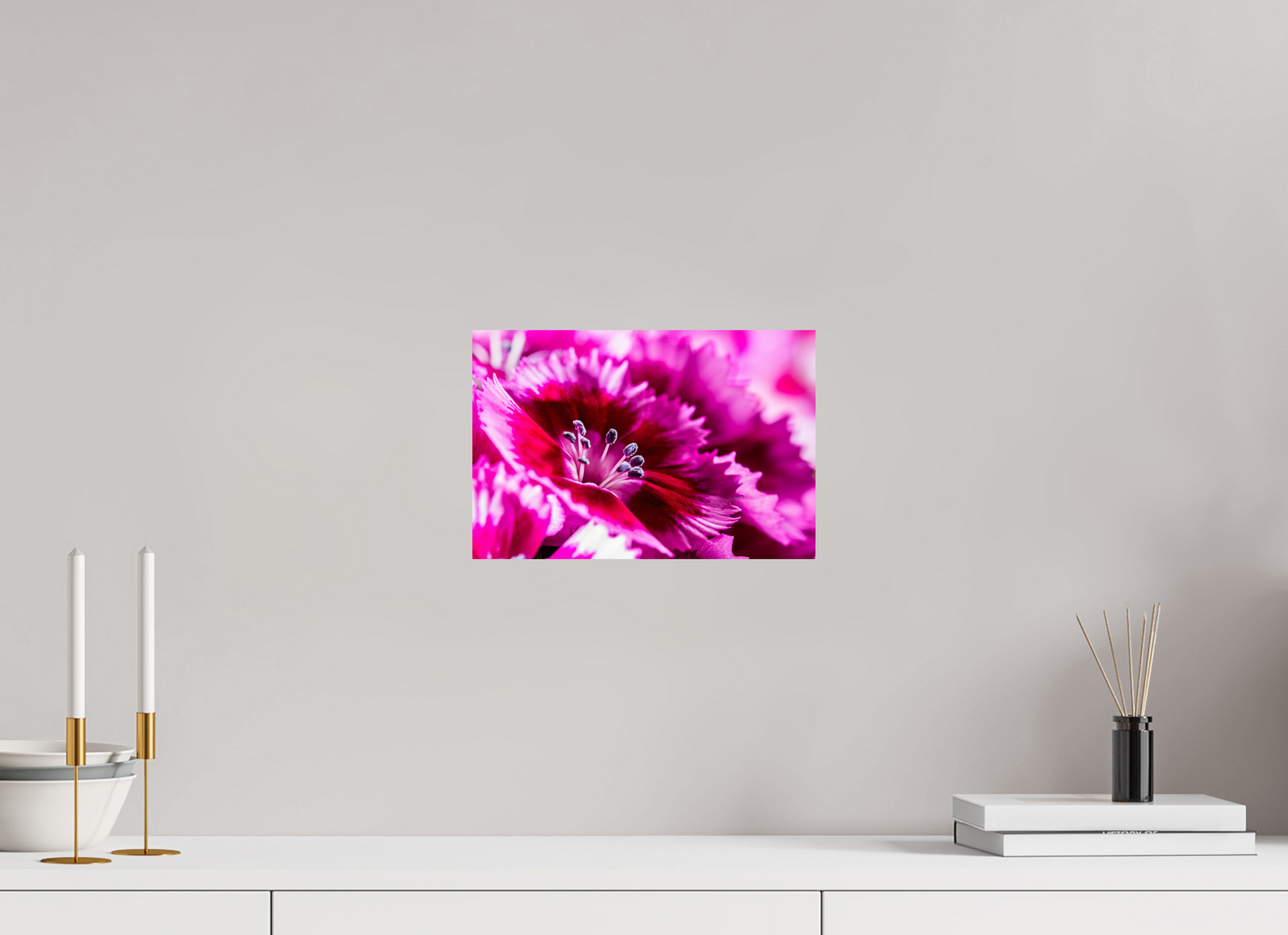 30 x 20 cm, ChromaLuxe HD Metal Print Bartnelke_04