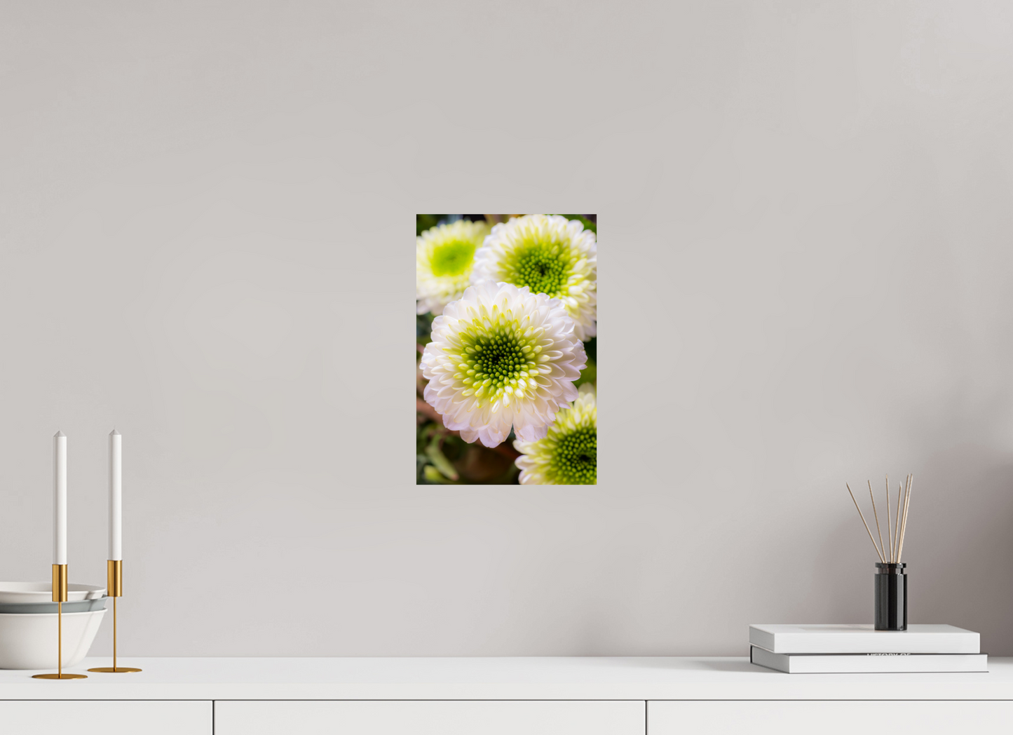 20 x 30 cm, Fine Art Print Baryta auf Alu-Dibond Chrysanthemen-01
